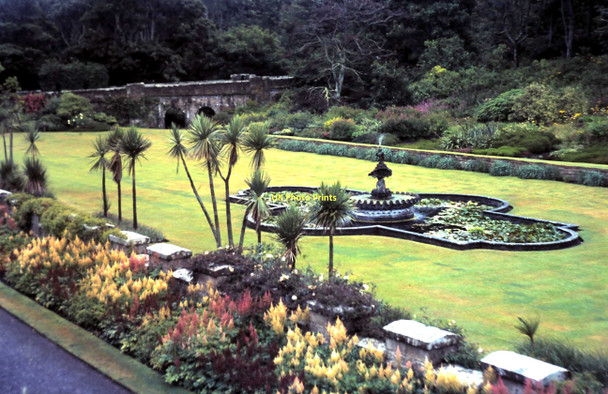 Photo 6"x4" Formal garden at Culzean Castle 1972 Kirkoswald\/NS2407 c1972