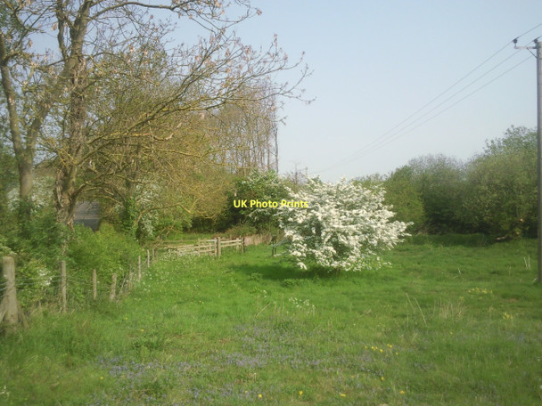 Photo 6"x4" Southorpe Paddock Nature Reserve Southorpe\/TF0803 c2011