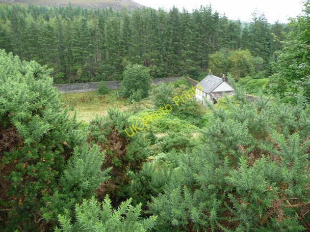 Photo 6"x4" The Orchard Garden Clachan\/NG5436 c2009