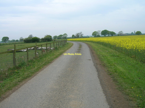Photo 6"x4" Farm track, Fair Oaks Farm Burn\/SE5928 c2011
