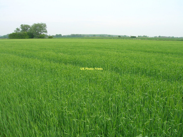 Photo 6"x4" Farmland off Birkin Road Gateforth c2011