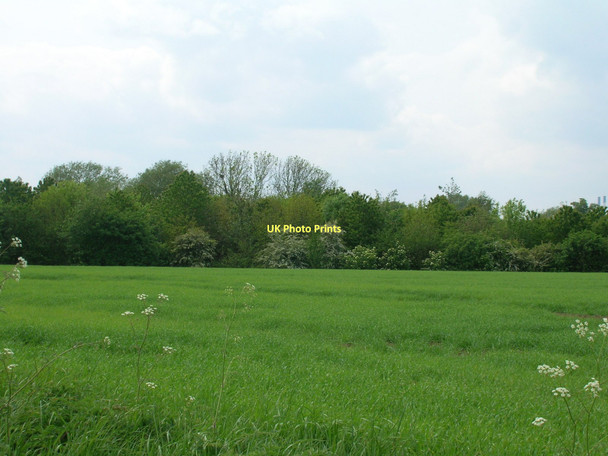 Photo 6"x4" Farmland near Birkin Birkin c2011