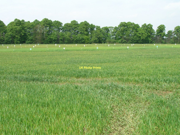 Photo 6"x4" Farmland off Birkin Lane Knottingley c2011