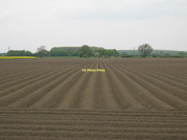 Photo 6"x4" Farmland off Hillam Road Hambleton\/SE5530 c2011