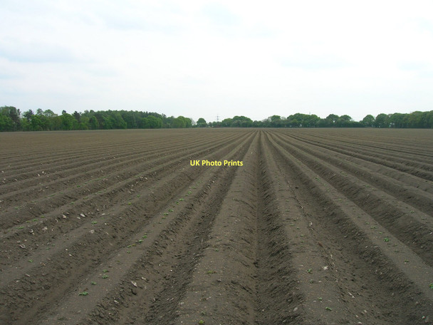Photo 6"x4" Farmland off Hillam Road Gateforth c2011