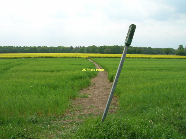 Photo 6"x4" Footpath over fields to Gateforth Woods Gateforth c2011