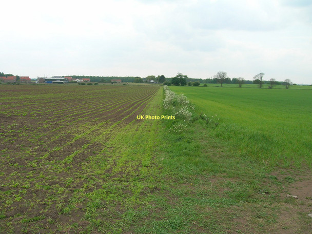Photo 6"x4" Footpath near Gateforth Gateforth c2011