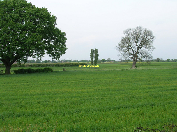 Photo 6"x4" Farmland north of the A1238 Selby c2011