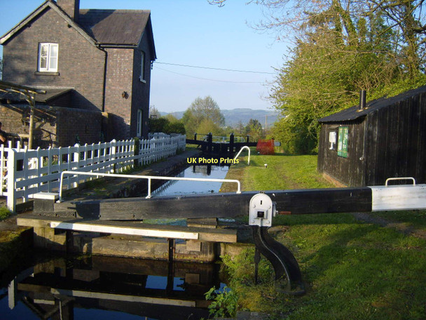 Photo 6"x4" Montgomery Canal Pwll\/SJ1904 c2011