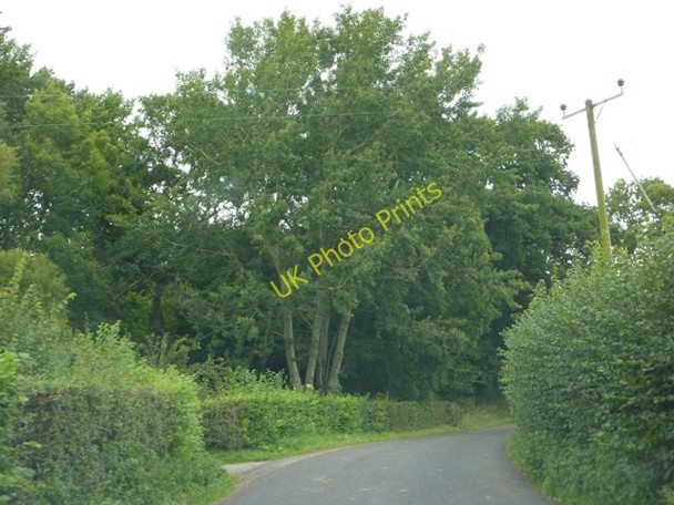 Photo 6"x4" Start of Ashington Wood Mudford Sock c2009