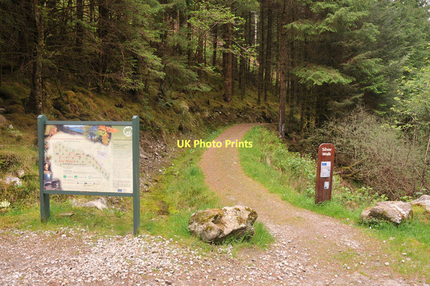 Photo 6"x4" Path through Ardmolich Wood Ardmolich c2011