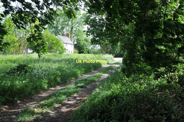 Photo 6"x4" Cottage on Normoor Common Baynhall c2011