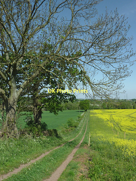 Photo 6"x4" Farmland north of Ashwood, Staffordshire Ashwood\/SO8688 c2011