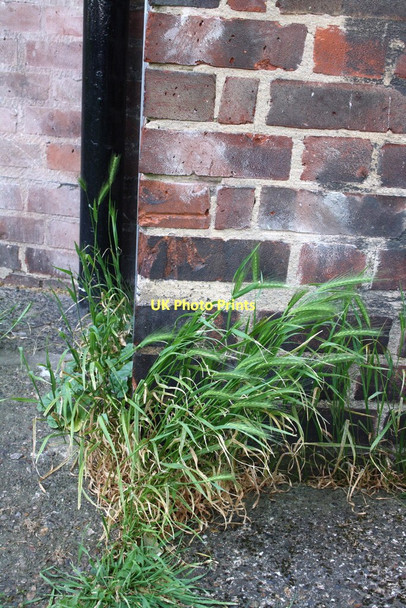 Photo 6"x4" Benchmark on Bramwell House, Harper Road London c2011