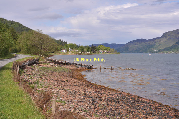 Photo 6"x4" Shoreline of Loch Duich Invershiel c2011
