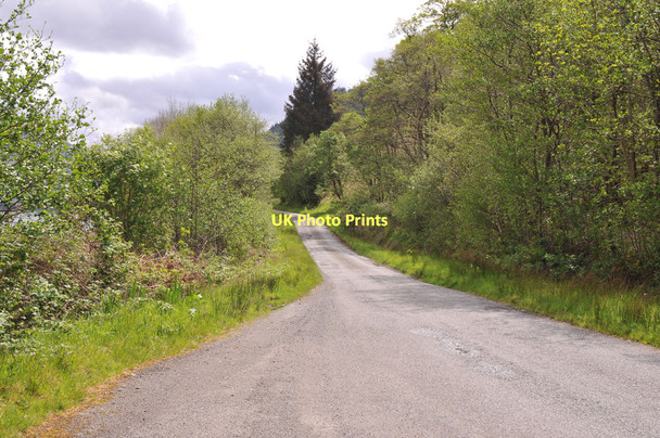Photo 6"x4" Minor road along the shore of Loch Duich Letterfearn c2011