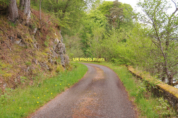 Photo 6"x4" Minor road near Totaig Letterfearn c2011