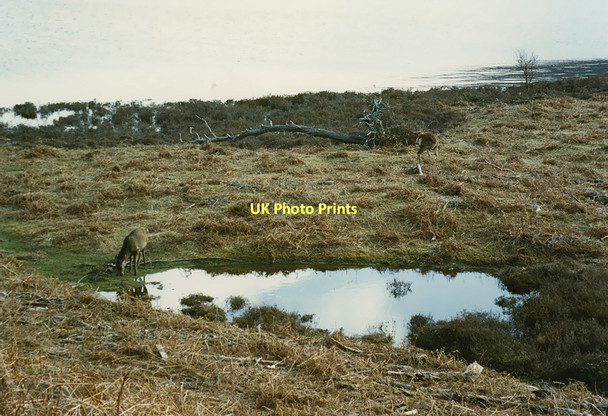 Photo 6"x4" Pool by Loch Maree Anancaun c1994