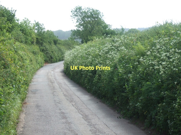 Photo 6"x4" Slade Road southeast of Ottery St Mary Ottery St Mary c2011