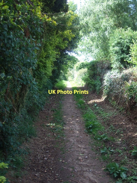 Photo 6"x4" Knightstone Lane Ottery St Mary c2011