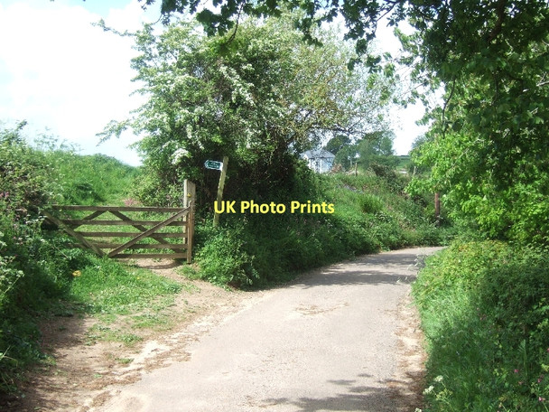 Photo 6"x4" Signpost for two footpaths Ottery St Mary c2011