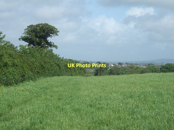 Photo 6"x4" Footpath leading north from Cawley's Farm Ottery St Mary c2011