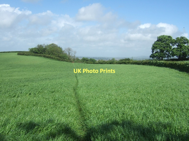 Photo 6"x4" Footpath across field near Waxway Coombe\/SY1091 c2011