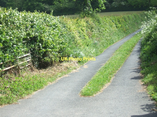 Photo 6"x4" Farm road to Badger's Rest Coombe\/SY1091 c2011