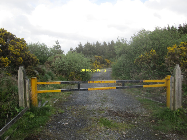 Photo 6"x4" Gated track into woodland, Cregganbaun Cregganbaun c2011