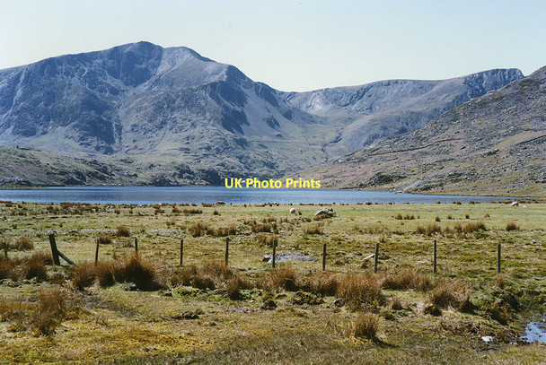 Photo 6"x4" The eastern end of Llyn Ogwen Tal y Llyn Ogwen c1994