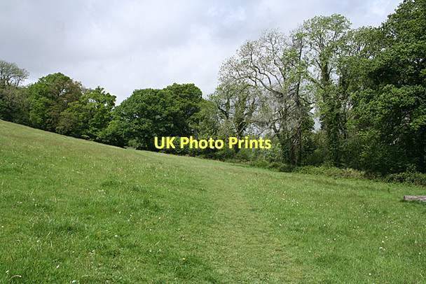 Photo 6"x4" Ugborough: footpath to Owley Brent Mill c2011