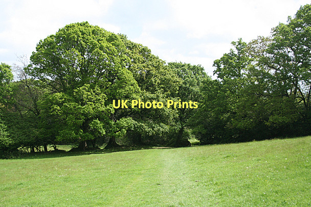 Photo 6"x4" Ugborough: above the Glaze Brook Brent Mill c2011