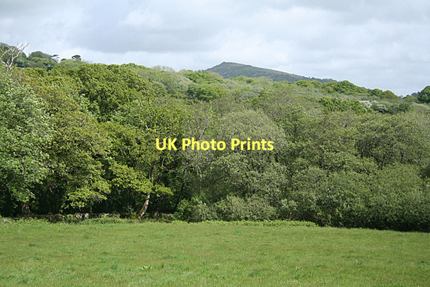 Photo 6"x4" Ugborough: towards the Glaze Brook Brent Mill c2011