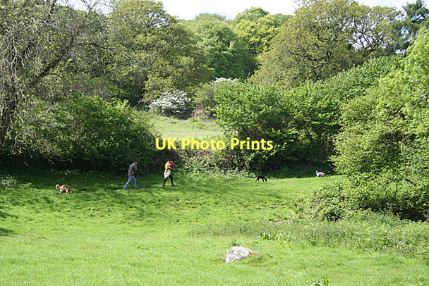 Photo 6"x4" Ugborough: family outing Brent Mill c2011