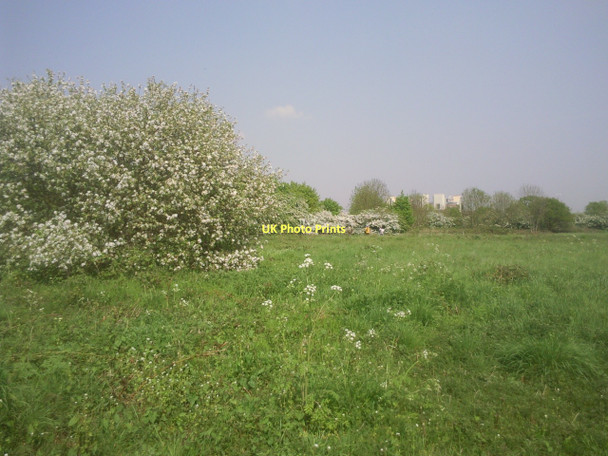 Photo 6"x4" On Hounslow Heath Feltham\/TQ1073 c2011