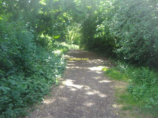Photo 6"x4" Path by the Hogsmill river, Malden New Malden c2011