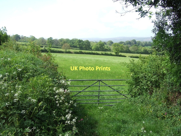 Photo 6"x4" Field and gate beside Fire Beacon Lane Coombe\/SY1091 c2011