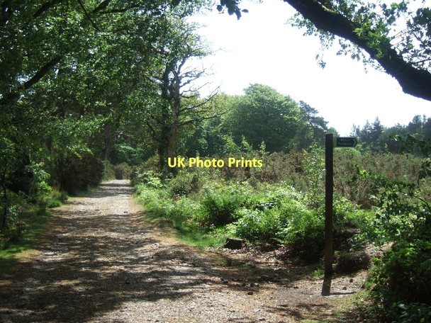 Photo 6"x4" Track on Beacon Hill Coombe\/SY1091 c2011