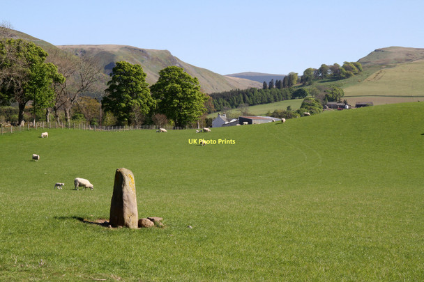 Photo 6"x4" Standing Stone On Peterhead Farm Muirton\/NN9211 c2011