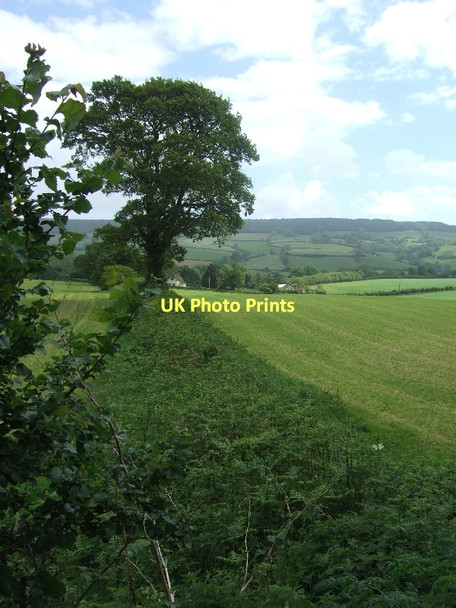 Photo 6"x4" Field boundary east of B3178 Burrow\/SY0789 c2011