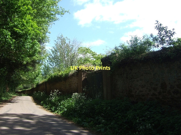Photo 6"x4" Road between Baker's Brake and the Bicton College estate Kingston\/SY0687 c2011