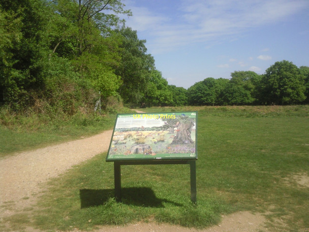 Photo 6"x4" Richmond Park National Nature Reserve Kingston Upon Thames c2011