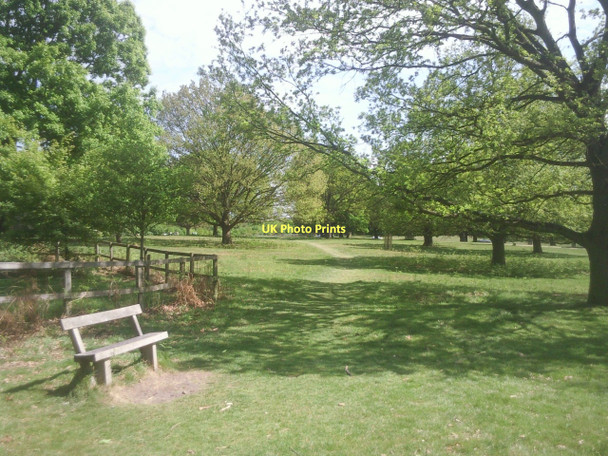 Photo 6"x4" Richmond Park near Broomfield Hill Kingston Upon Thames c2011