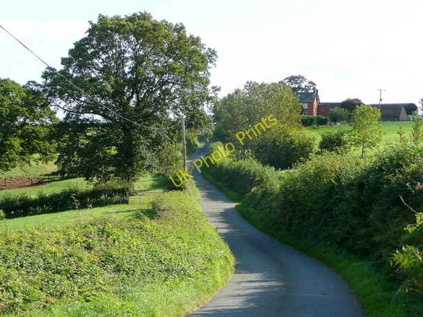 Photo 6"x4" Lane to King's Pitts Callow\/SO4934 c2009