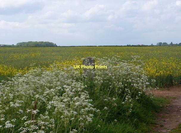 Photo 6"x4" Fields by the end of Whitwell Road Darfoulds c2011