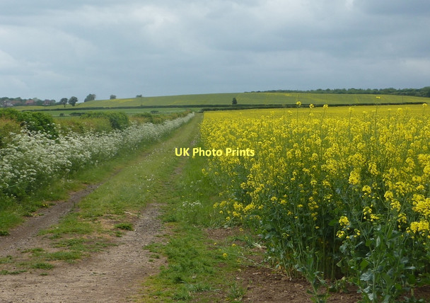 Photo 6"x4" Farmland track near Burnt Leys Farm Hodthorpe c2011