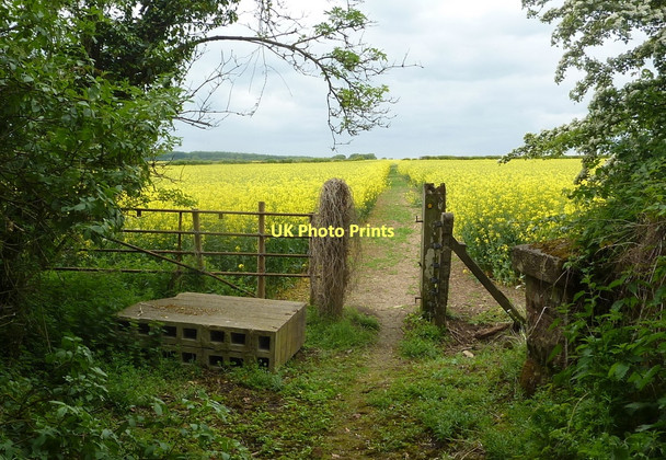 Photo 6"x4" Footpath from the railway bridge Hodthorpe c2011