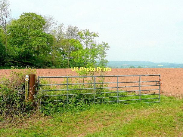 Photo 6"x4" Footpath across a field Orcop Hill c2011