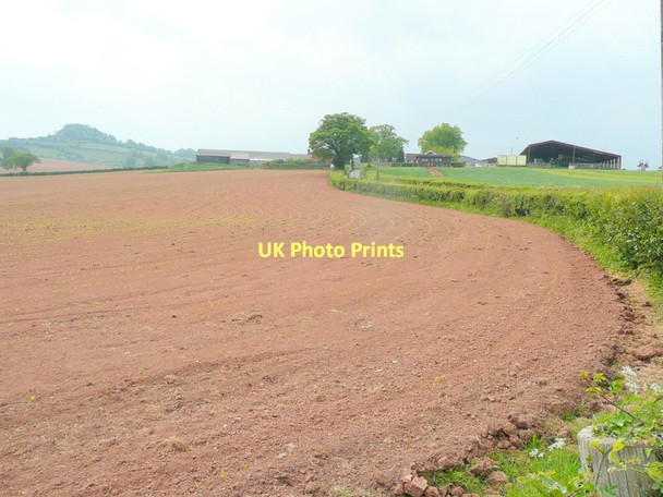 Photo 6"x4" Field edge near Blackhouse Farm Marlas\/SO4429 c2011