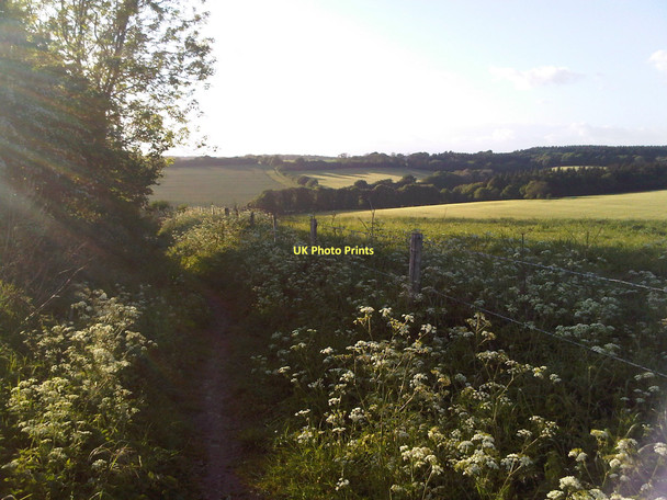 Photo 6"x4" Bridleway from Moundsmere House to Bermondspit House Axford\/SU6143 c2011